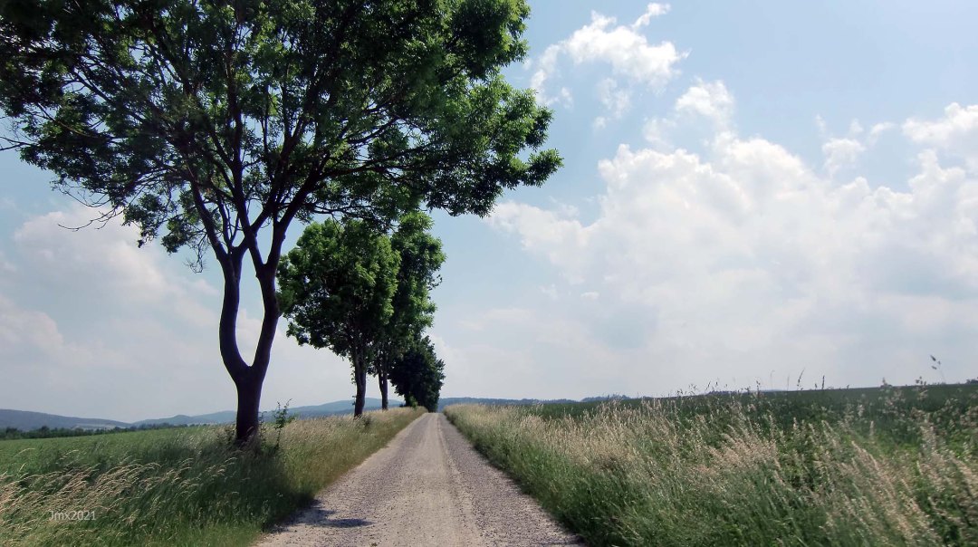 goettingen_june15_2021_13